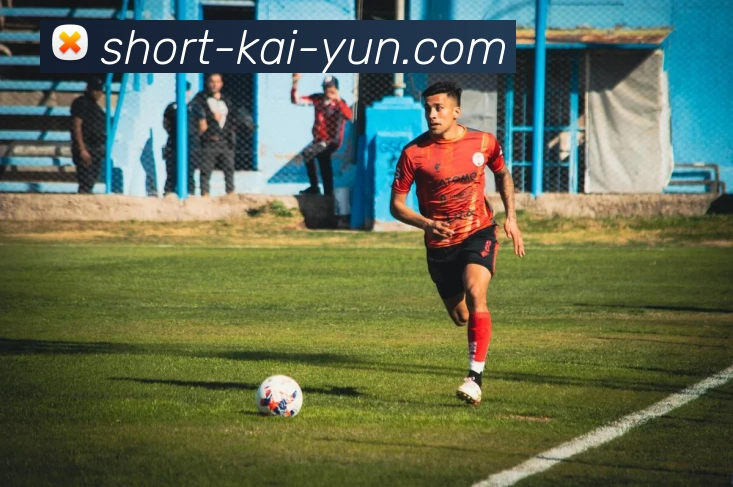 开云体育官方平台生态图